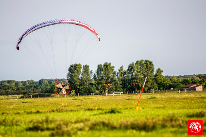 Paraelement thor in fly