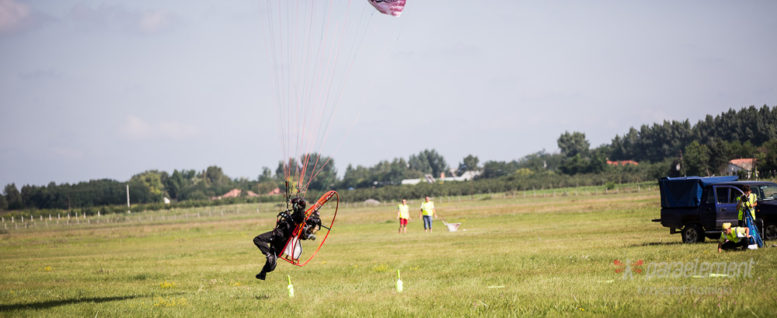 Paraelement thor in fly