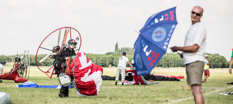 Paraelement thor in fly