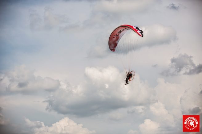 Paraelement thor in fly