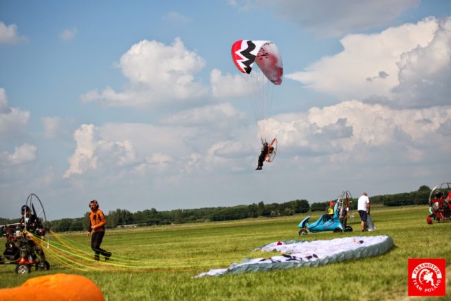 Paraelement thor in fly