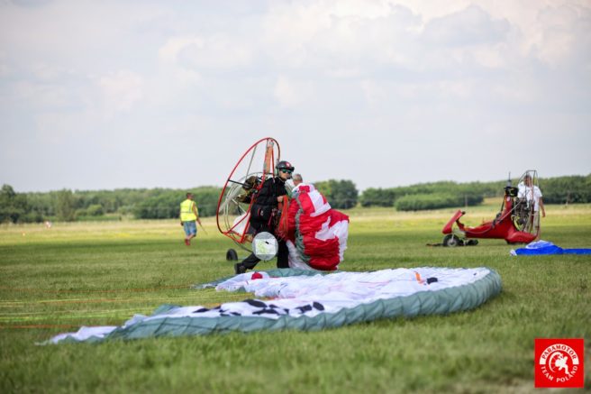 Paraelement thor in fly