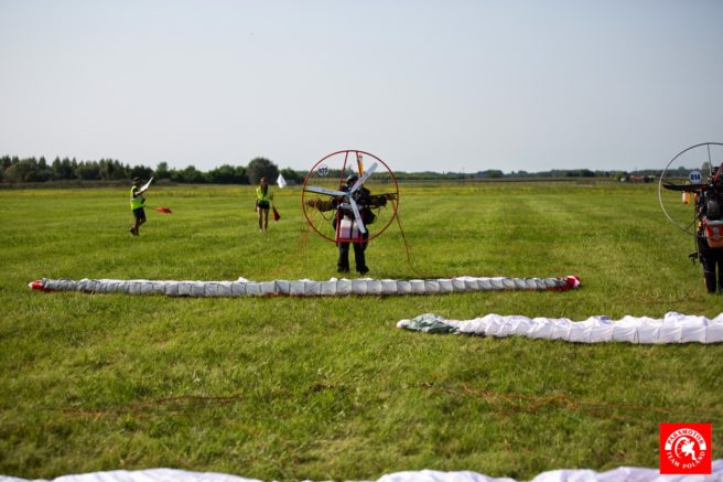 Paraelement thor in fly