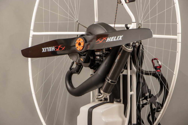 naped ppg moster vittorazi