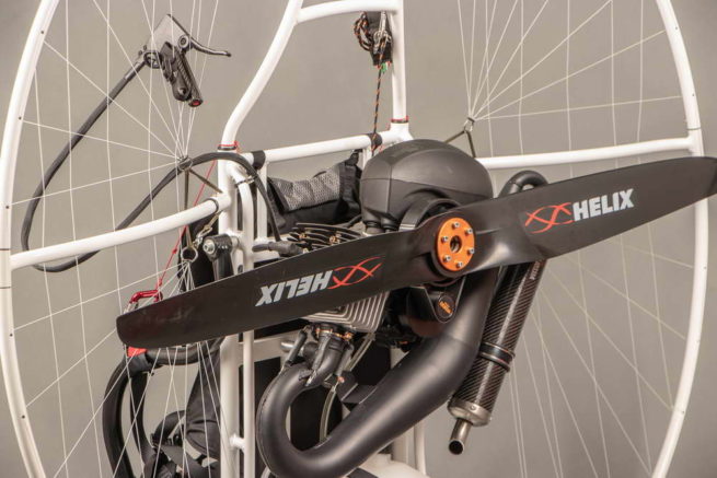 naped ppg moster vittorazi